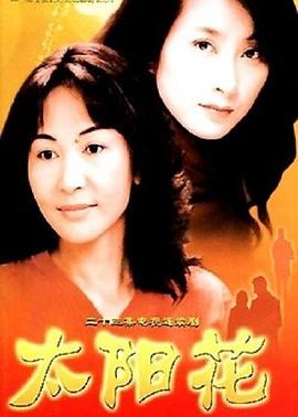 太阳花2002图片 太阳花2002图片