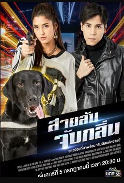 侦探K9普国语图片 侦探K9普国语图片