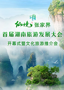 首届湖南旅游发展大会开幕式暨文化旅游推介会图片 首届湖南旅游发展大会开幕式暨文化旅游推介会图片