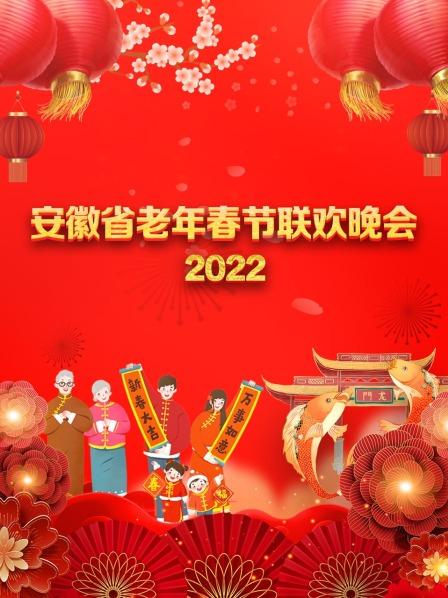 安徽省老年春节联欢晚会2022图片