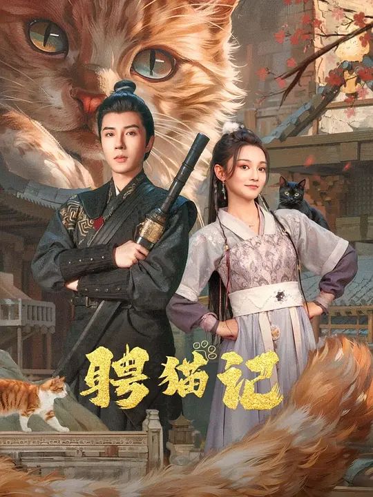聘猫记图片 聘猫记图片