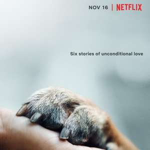 爱犬情深图片 爱犬情深图片
