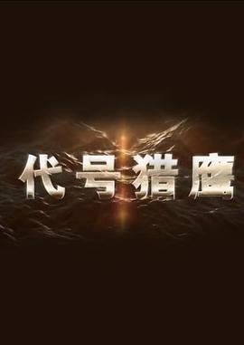 代号猎鹰图片 代号猎鹰图片