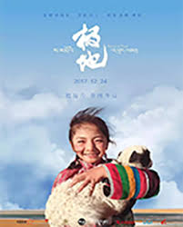 极地图片