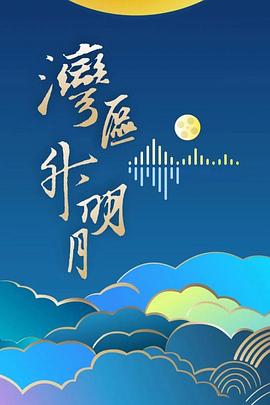 “湾区升明月”2024大湾区电影音乐晚会图片