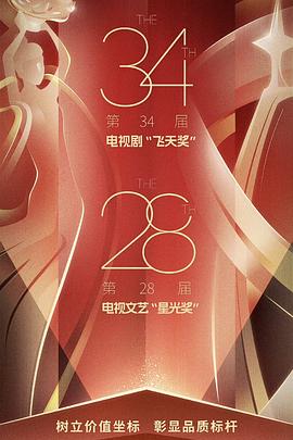 第34届电视剧“飞天奖”第28届电视文艺“星光奖”颁奖典礼图片
