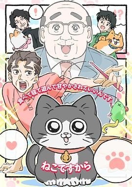 转生成猫的大叔图片 转生成猫的大叔图片