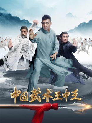 中国武术王中王图片