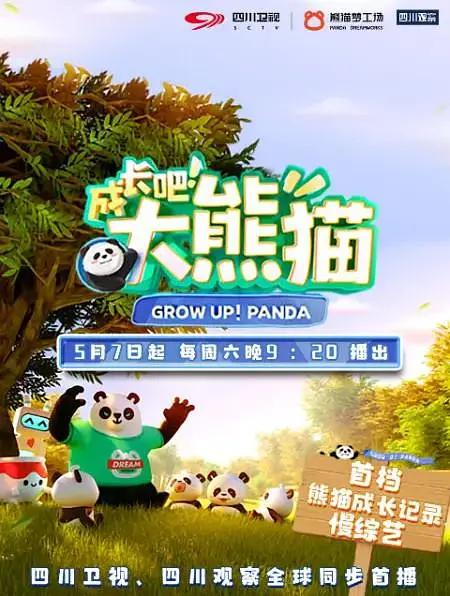 成长吧!大熊猫图片 成长吧!大熊猫图片