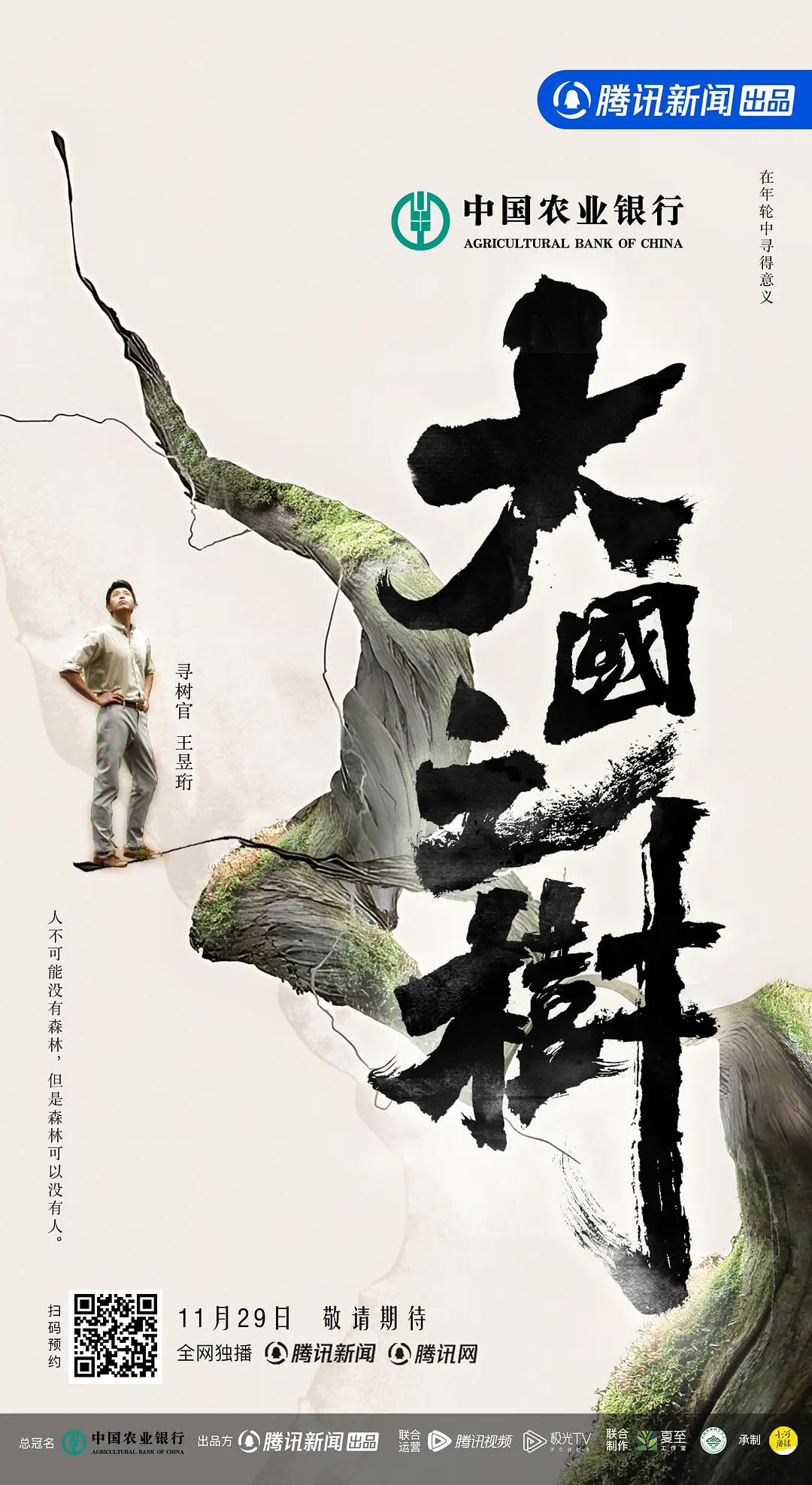 大国之树图片 大国之树图片