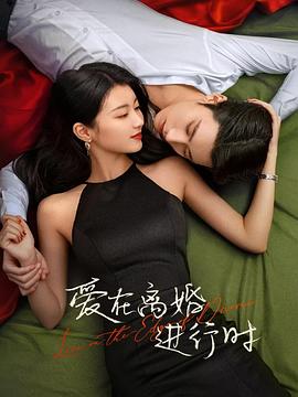 爱在离婚进行时图片 爱在离婚进行时图片