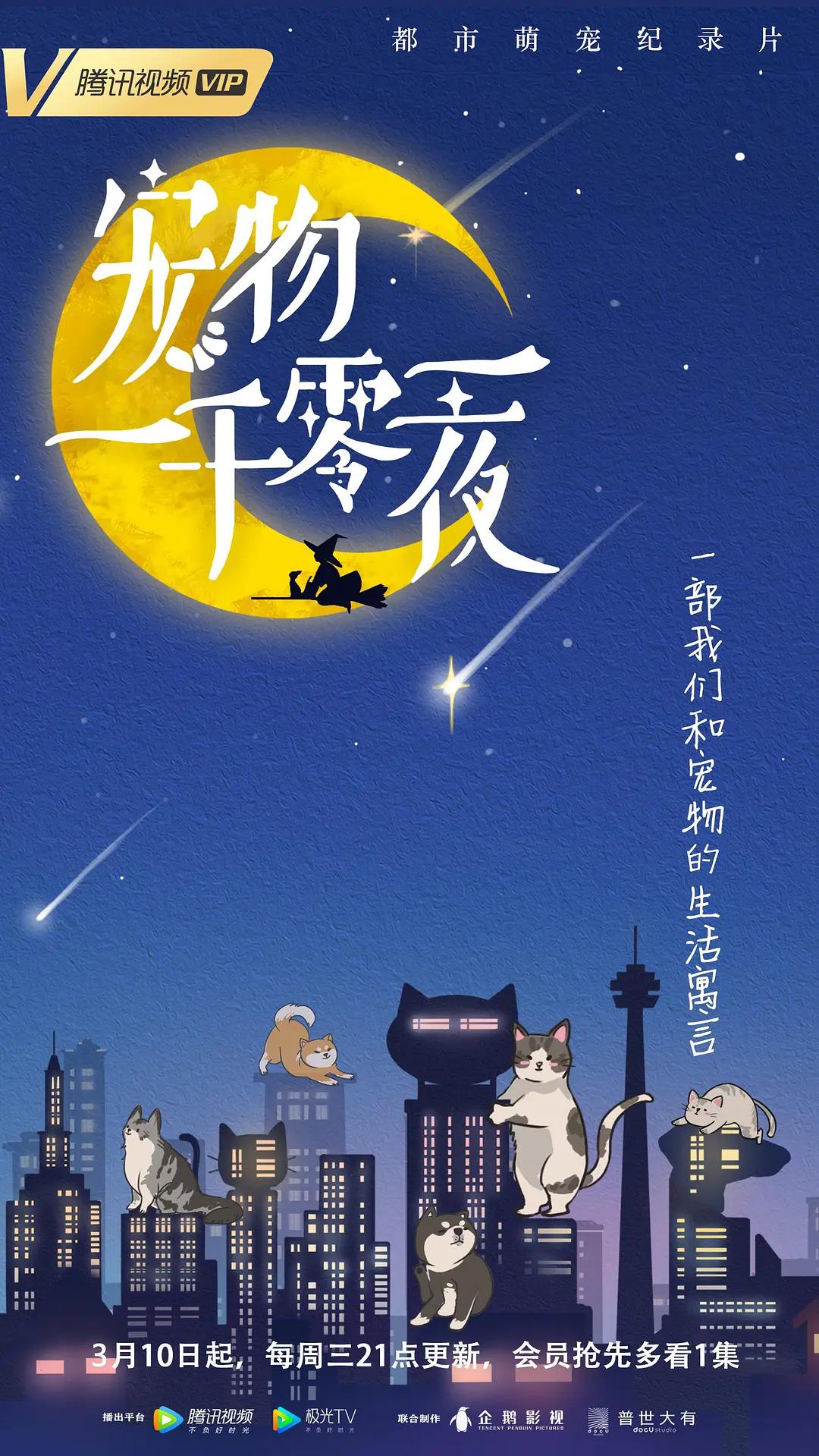 宠物一千零一夜图片 宠物一千零一夜图片