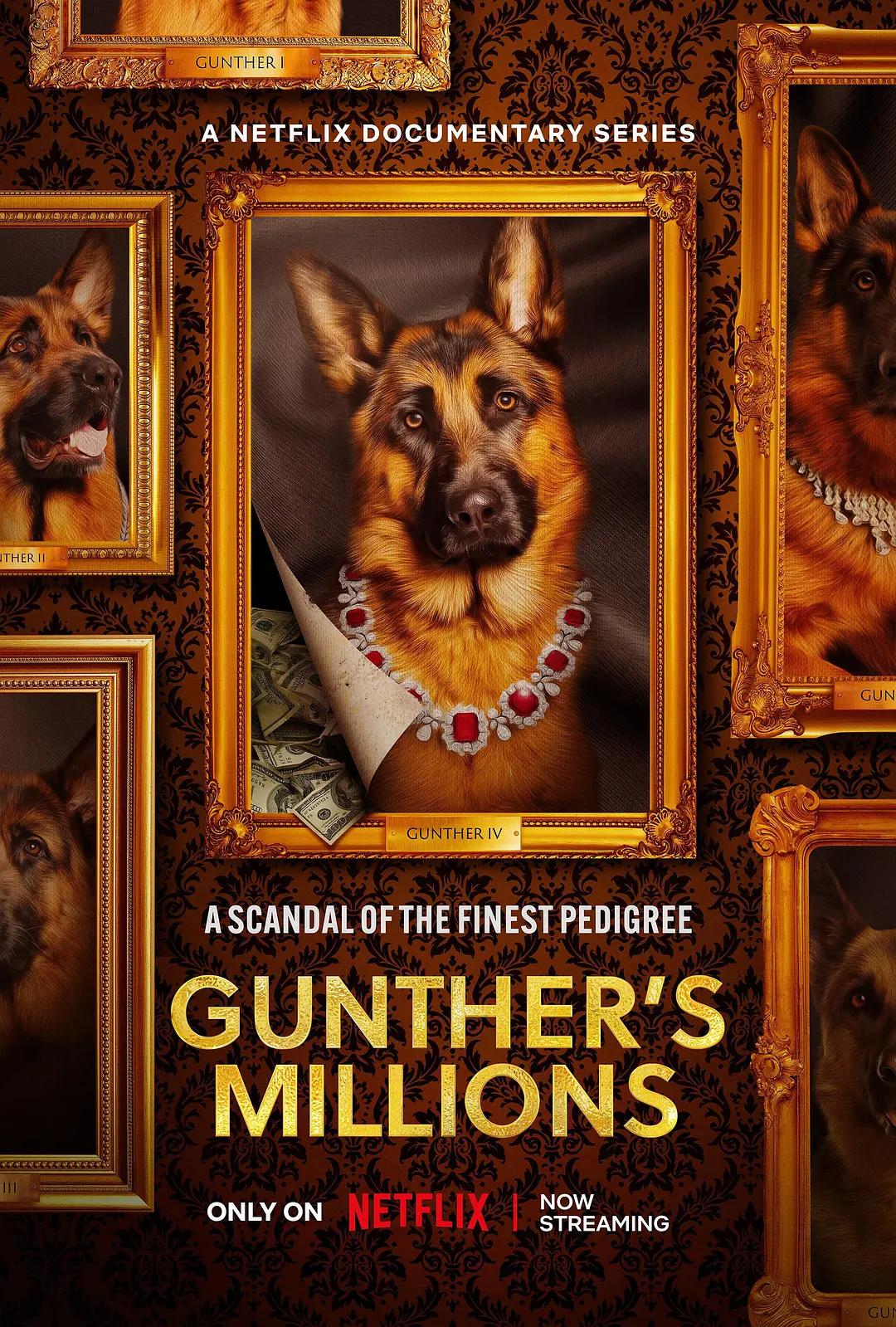 亿万富犬图片 亿万富犬图片