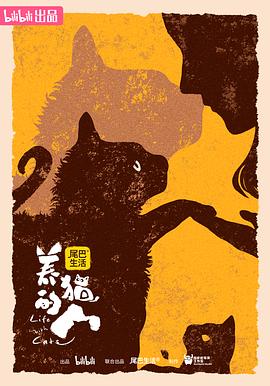 养猫的人图片 养猫的人图片