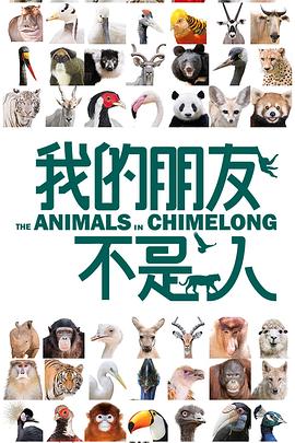 我的朋友不是人图片