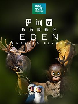 伊甸园:最后的秘境图片 伊甸园:最后的秘境图片