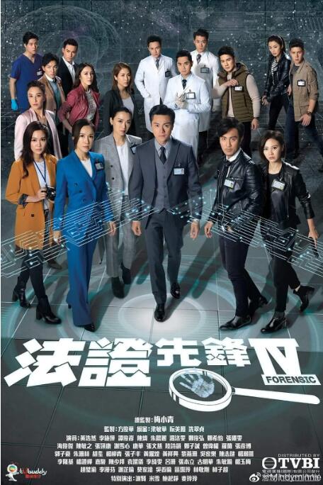 法证先锋4粤语版图片