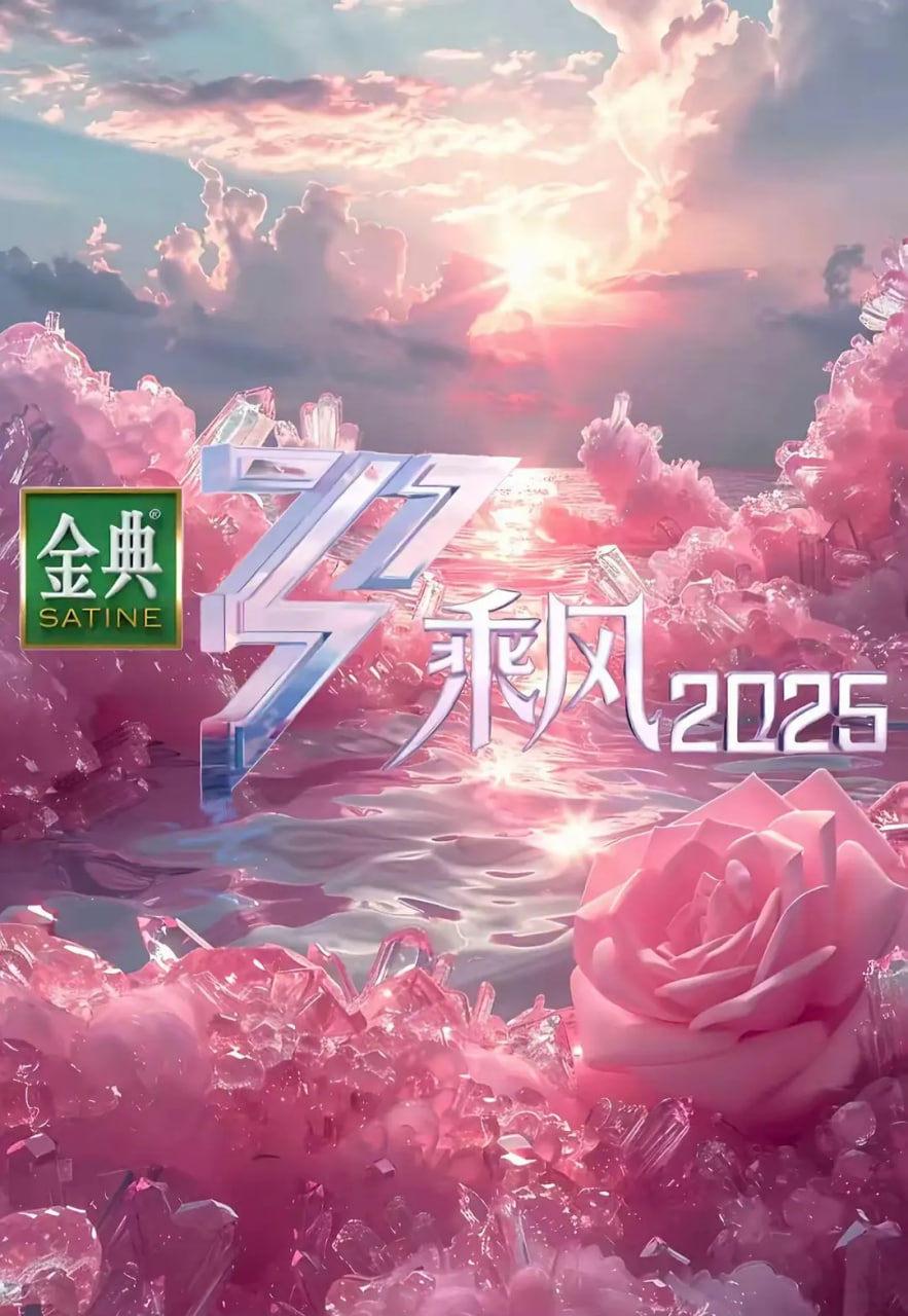 乘风2025图片