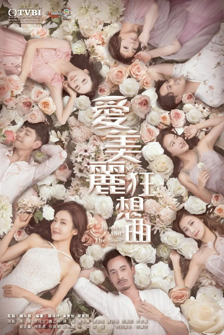 爱美丽狂想曲图片
