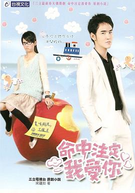 命中注定我爱你2008图片