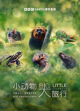 小动物大旅行第一季图片 小动物大旅行第一季图片