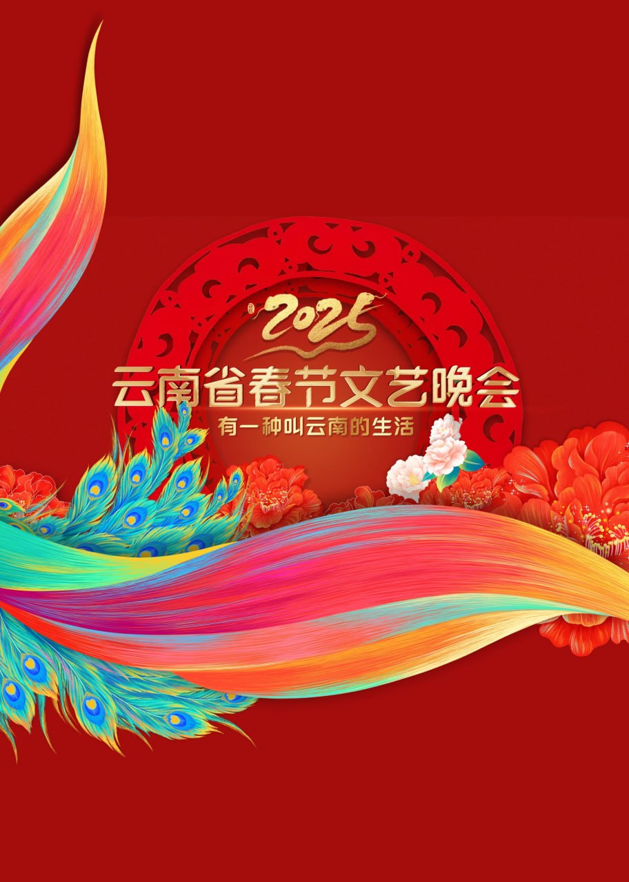2025云南春晚图片 2025云南春晚图片