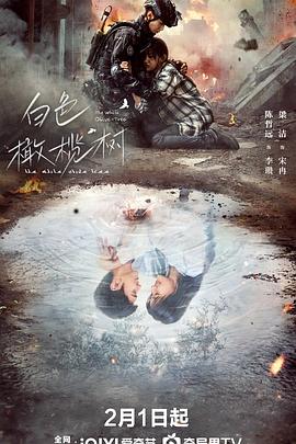 白色橄榄树图片