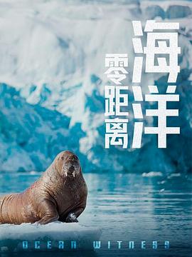 海洋零距离图片 海洋零距离图片